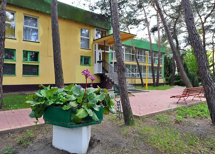 Osrodek Elzam Rezort Krynica Morska